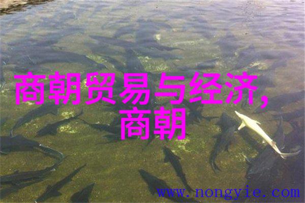 五代十国灭亡后历史我亲眼见证了中原的沉默
