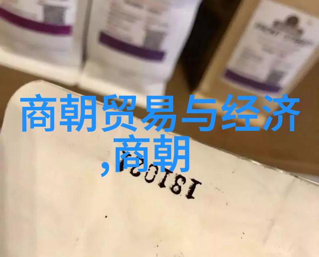 在面对倭寇蒙古侵扰等外患时大明政府采取了哪些有效措施