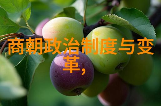 元朝的领土辉煌从蒙古帝国到大元王朝的版图扩张与管理策略