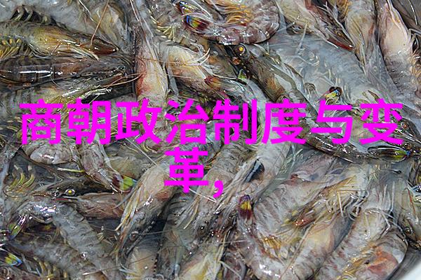 历代变迁中国朝代排列表探索