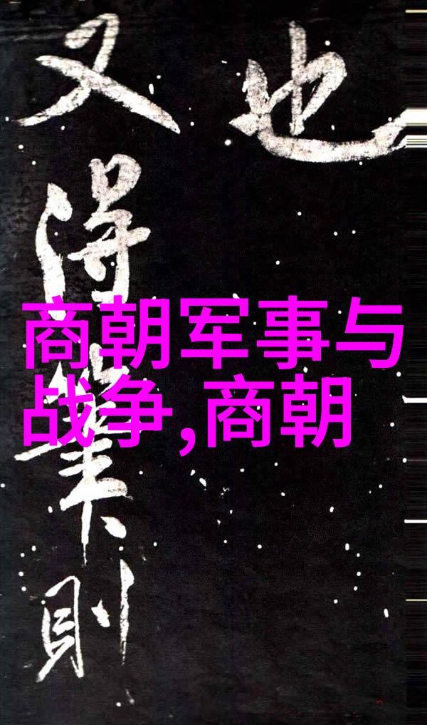 明朝历史被丑化背后的原因深度探究明朝史学观念的变迁与现代文化影响