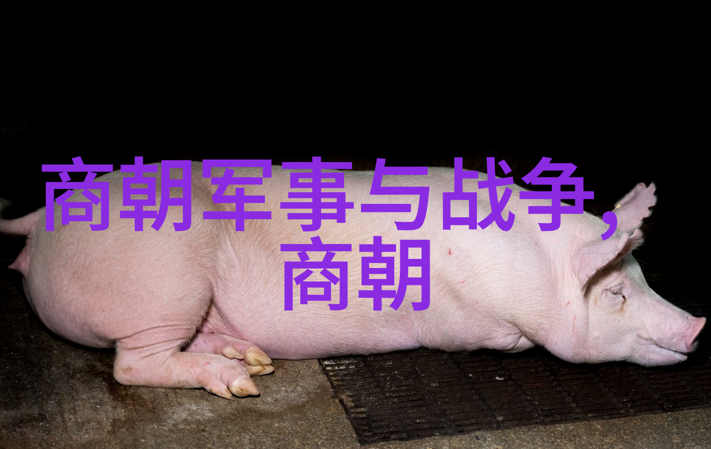 历史趣味我来背24朝代顺序口诀给你听