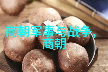努尔哈赤的统一梦想与清朝的兴衍努尔哈赤如何成为清朝开国皇帝