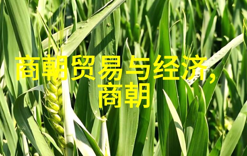 揭秘明朝宫廷一代帝王背后的阴谋与诡计