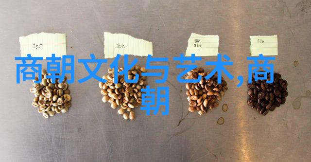 宋朝-北宋灭亡与南宋存续从金军入侵到忽必烈登基的历史转折