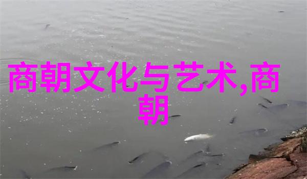 中文字幕完整高清版电影美轮美奂的影视艺术