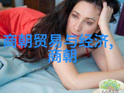 明朝恐怖历史-红衣大将军与皇帝的阴影揭秘明朝那些令人发指的故事