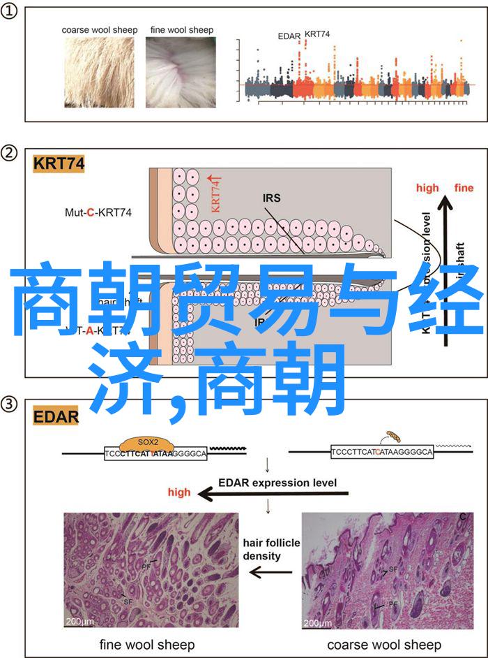 中国著名人物的励志故事-逆袭路上的邓稼先从农家子弟到核物理学家的传奇