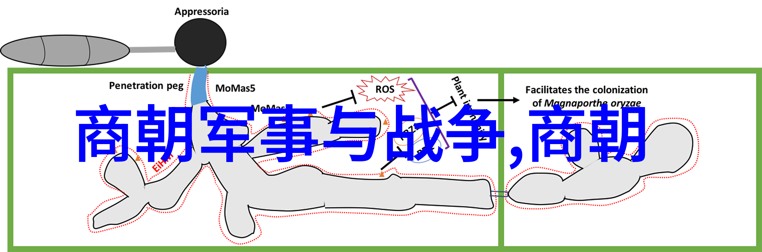 唐朝和隋朝是什么关系我告诉你那个时候的隋炀帝其实就是唐太宗的前任啊