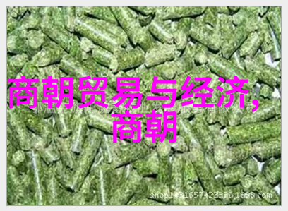 忽必烈的秘密之旅蒙古帝国的最后一个梦
