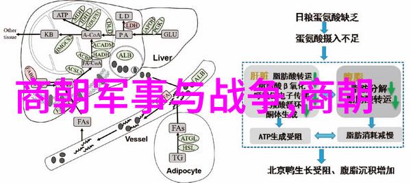 南诏国被谁灭掉的我告诉你南诏国是唐朝大将高适干掉的