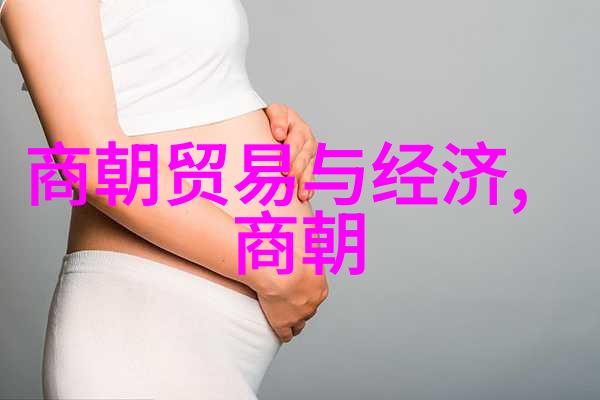 宋朝之风专家们为何热衷于赞扬这段历史辉煌