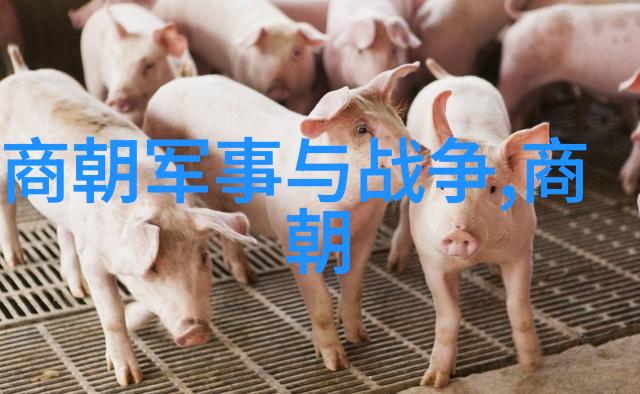 明朝那些事3南京城破国运尽头