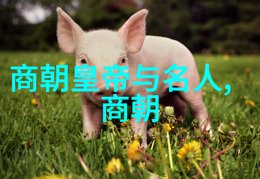 南北宋的辉煌与衰落历史的对比镜头