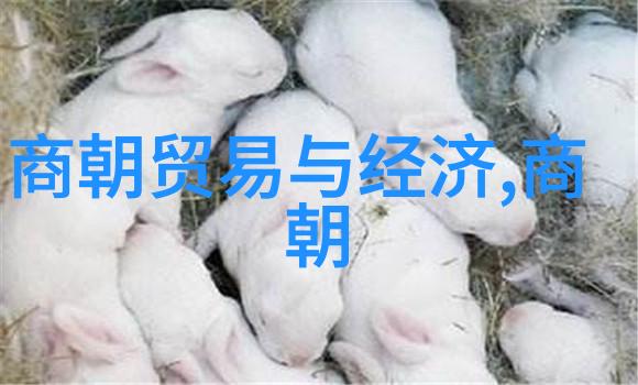 回眸一笑JQ起高干背后的秘密