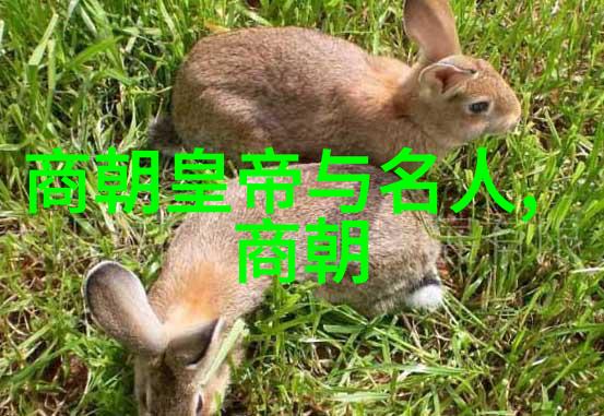 中国上下五千年历史表中国悠久的历史篇章