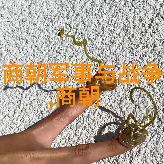 明代经济发展及其对社会影响