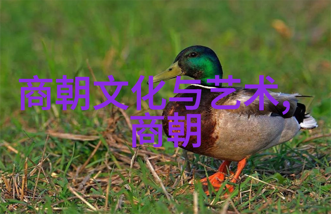 明朝宣德时期的文化繁荣盛世文艺与政治鼎立