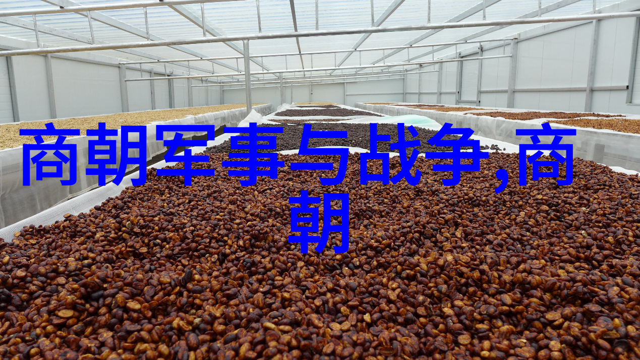 历史文化探究-明朝的魅力解读国人对明代的现代喜爱