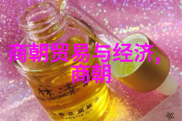 元朝覆灭后的公主命运被忘却的华丽与悲剧