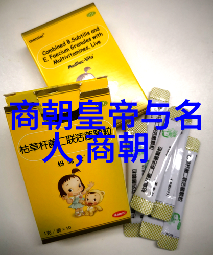 历史的裂痕北宋覆灭之谜
