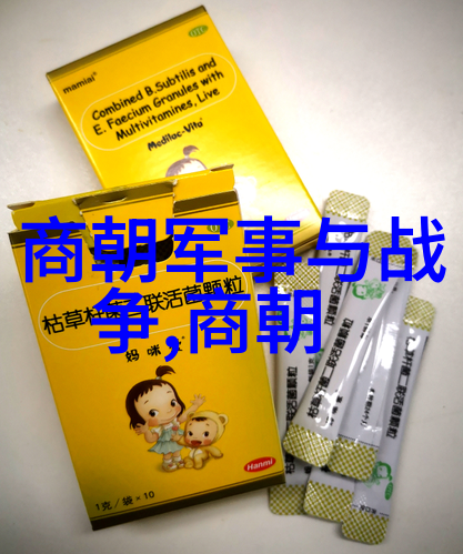 宋朝版图演变北宋与南宋的对比