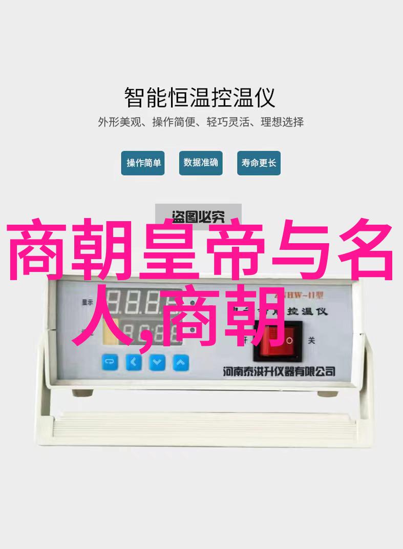 蒙古征服和元朝统治下的中国社会变迁