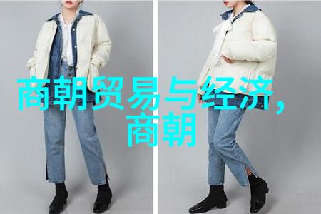 明朝简史 从朱元璋到崇禎的兴衰变迁
