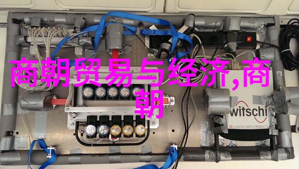 明朝之光探寻最具卓越统治者