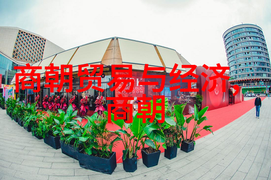 中国王朝实力排名古代中国强盛时期的王朝比较