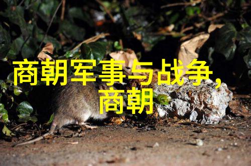 朝阳沟上山原唱朱桂芹豫剧旦行演员