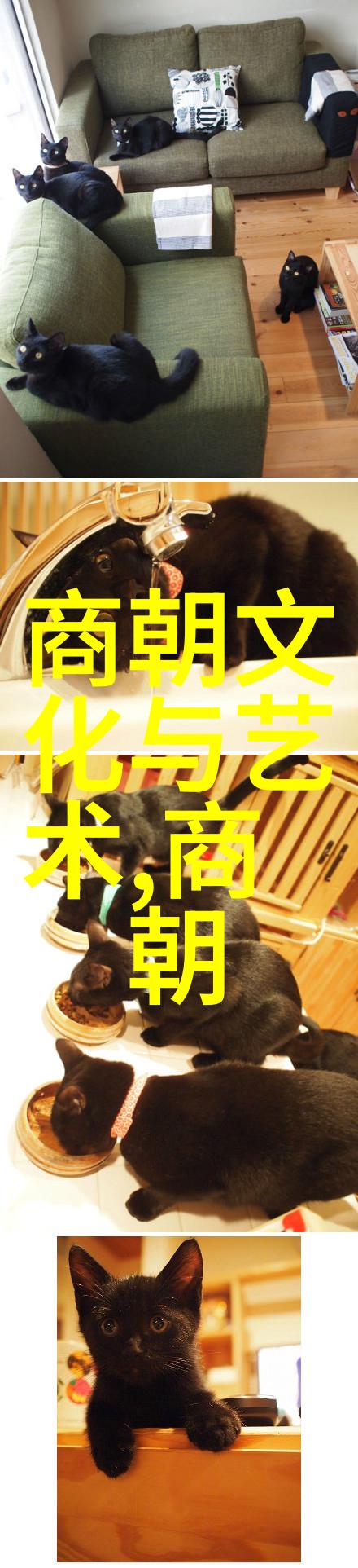 明朝风云历史真实与传奇的交织