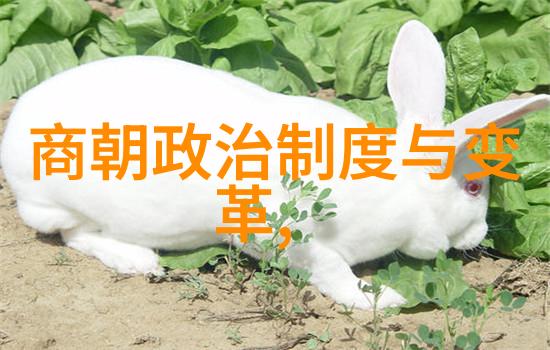 历史上的奇迹古埃及金字塔是如何在几百年前建成的