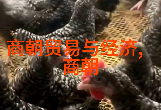 明朝皇帝列表及简介时光回溯与关系图解析
