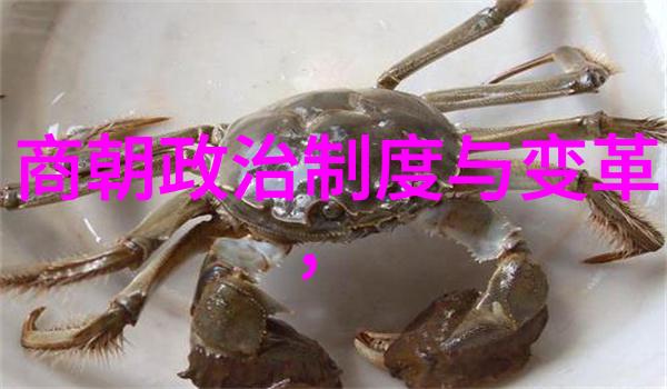 亲妈的呼唤一段温暖而忧心的家园故事