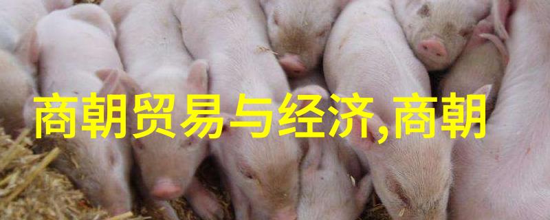 明朝英杰录揭秘历史上的能力排名表
