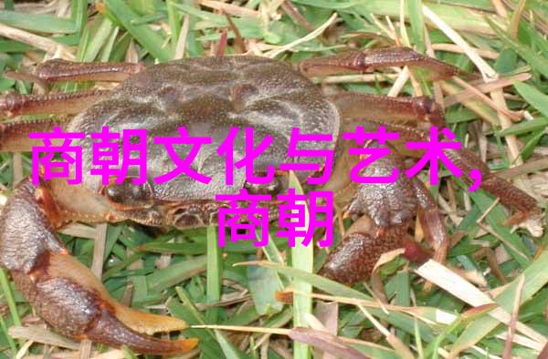刘伯温逝世引发朱元璋悲痛明朝开国皇帝对忠臣的悼念