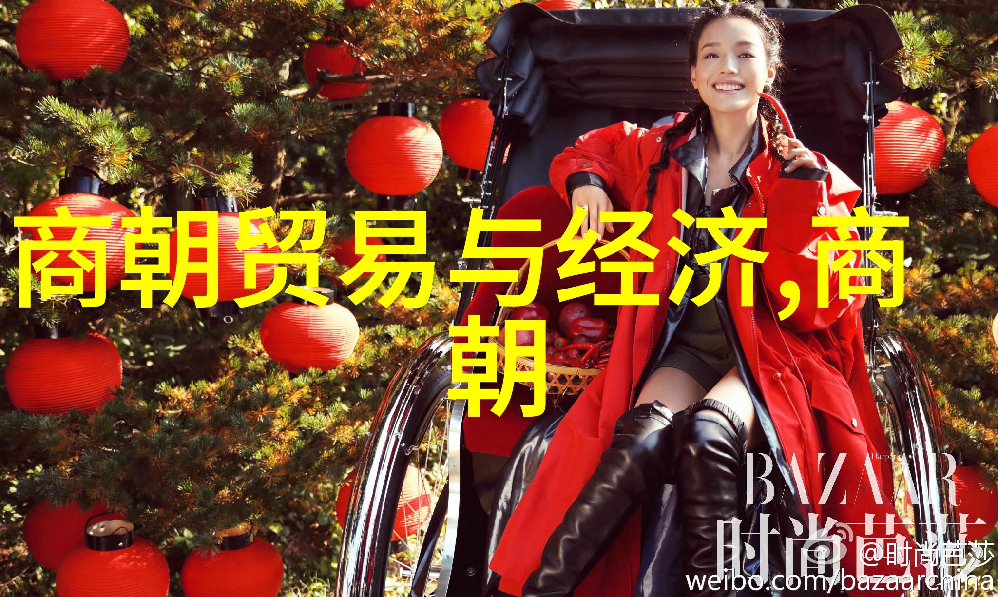南宋和北宋的历史资料-探索两宋遗韵解读南北史料的差异与价值