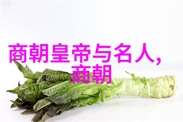 河南梨园春2023年总决赛视频中艾立这位豫剧丑行演员以其非凡的舞台魅力和深情的表演仿佛是一位游走在世
