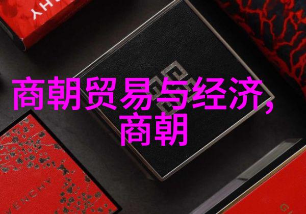 刘亦菲主演的靖康之痛历史悲剧在现代银幕上的重现