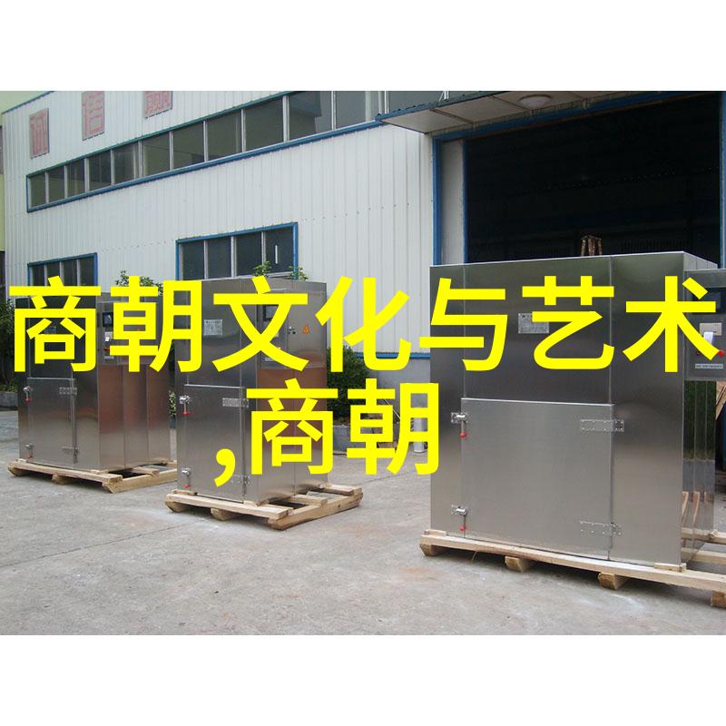 忽必烈汗国的兴衰与对外扩张策略研究