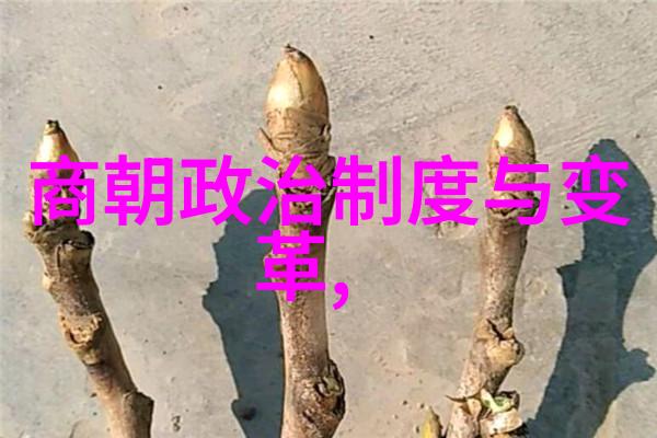 洪武四女儿婚事风波 明太祖家庭生活中的政治博弈