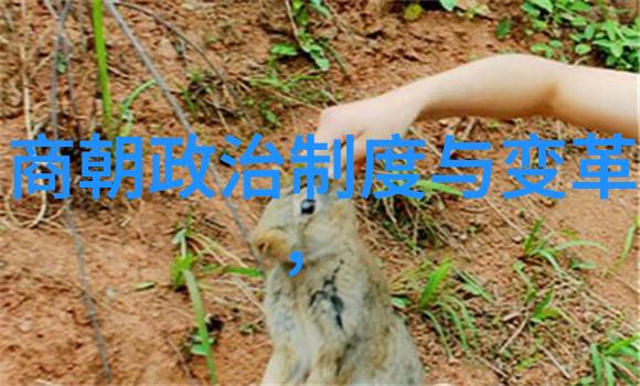 隋朝十六王公权力与荣耀的交错篇章
