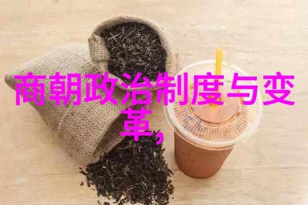汗海广阔忽必烈的帝国梦想