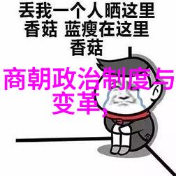 辉煌的帝国元朝中国的故事