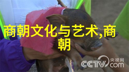 刘炳清书法墨迹字帖探秘