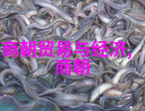元朝的重大历史事件征服与治世