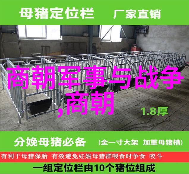 篆刻家商开栋收徒仪式在临沂羲之故里举行社会各界人士齐聚一堂共同探讨世界十大思想家的智慧与影响力
