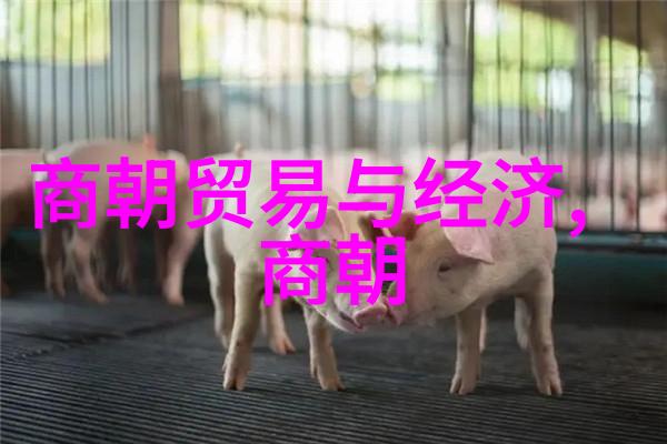 揭秘明朝怪事频发阴阳失调与民间信仰的深层原因探究