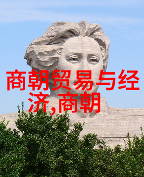 宋代文脉流传繁荣与辉煌的历史篇章